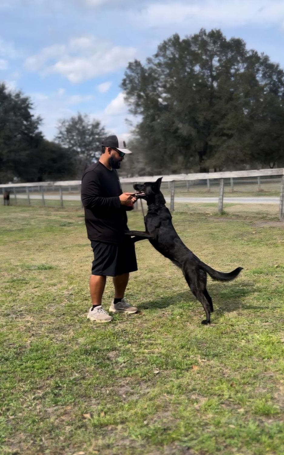 Zac Thomas working with his Dutch Shepherd, Asena, on a training field